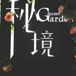 与鸥同“奏”冬日曲