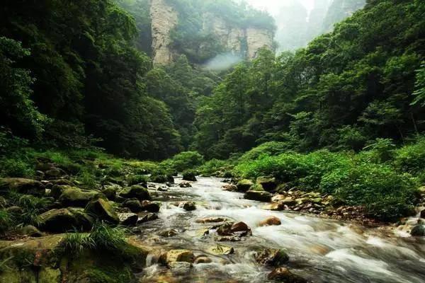 兴庆宫“长安灯市”盛大开市!