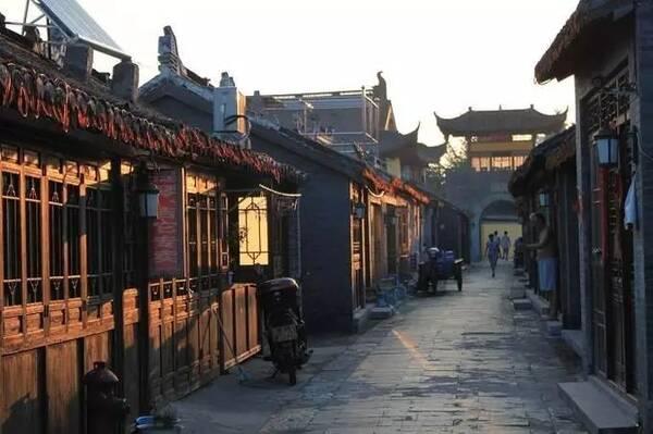 种鸽育种应该往鸽舍放这些东西